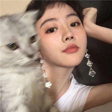 冒险之心游戏下载