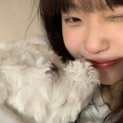 御龙封魔志破解版下载